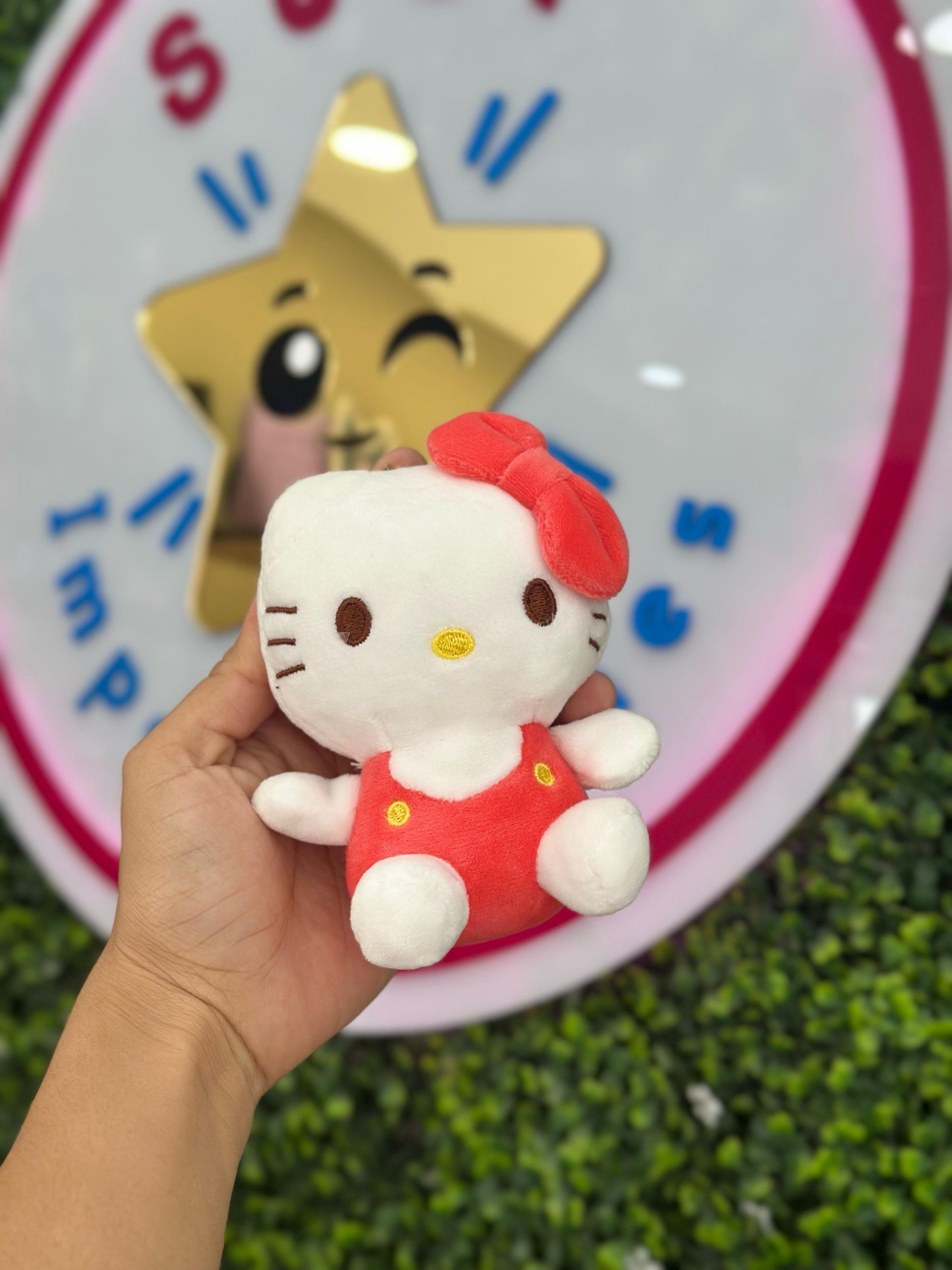 Llaveros Peluche